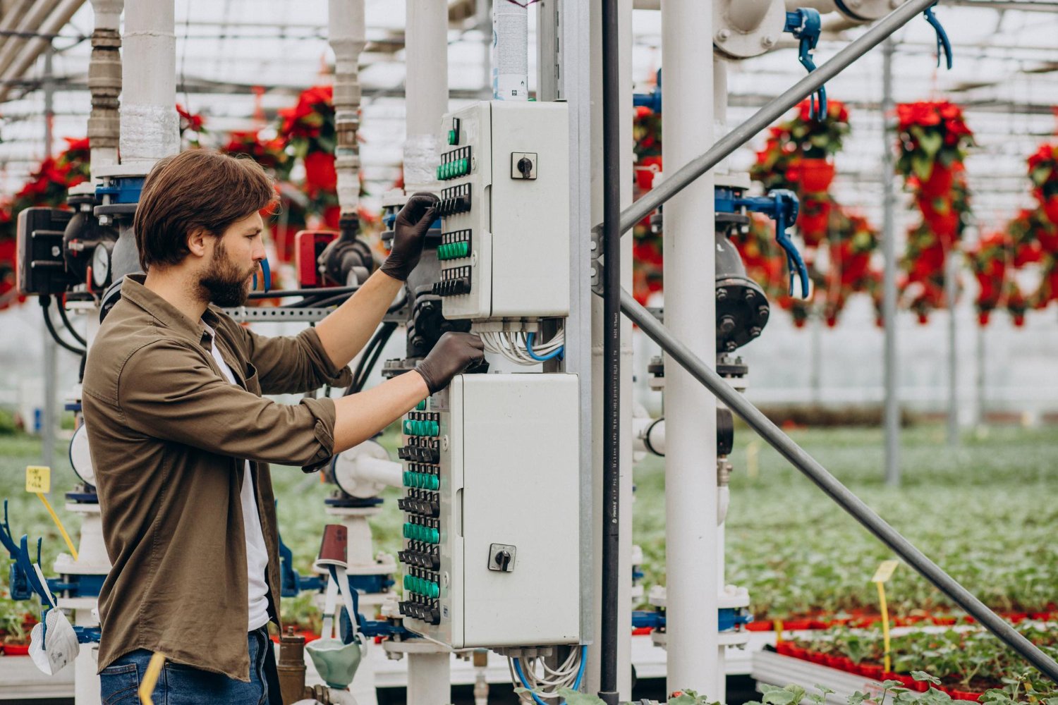 man-florist-working-green-house